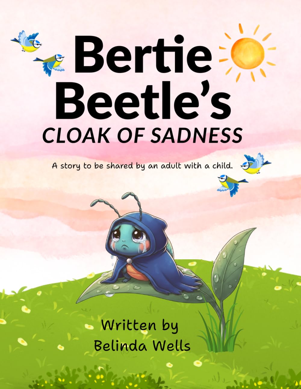 Bertie Beetle's Closk of Sadness (Stories with a Difference)