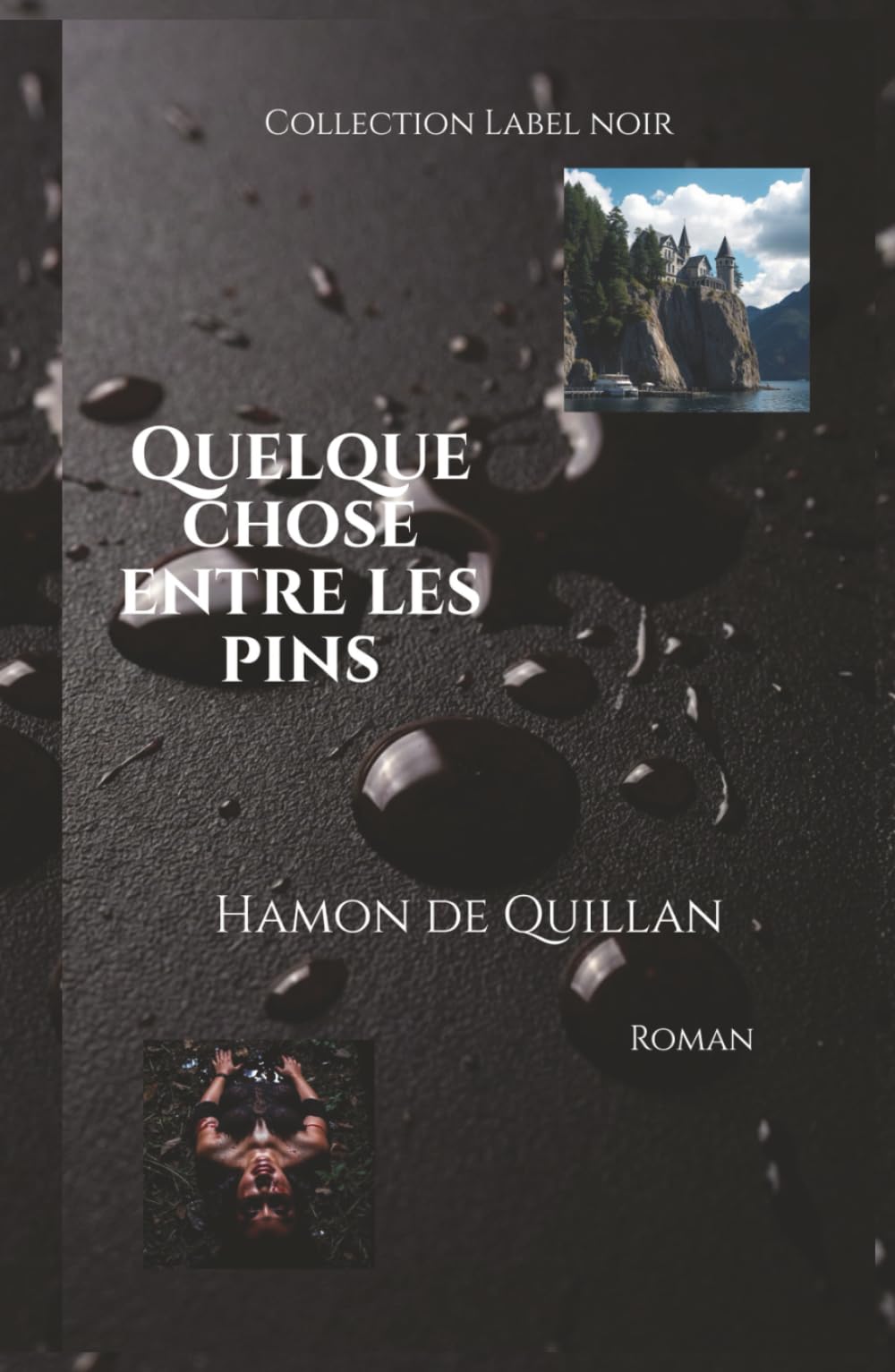Quelque chose entre les pins (Label noir)