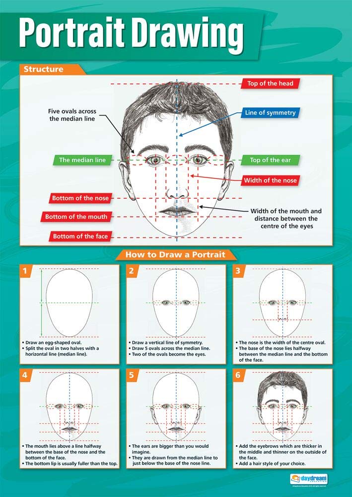 Proportions Of Human Figure Art Poster - Extra Large 33x23.5" Educational Chart For Art Classes