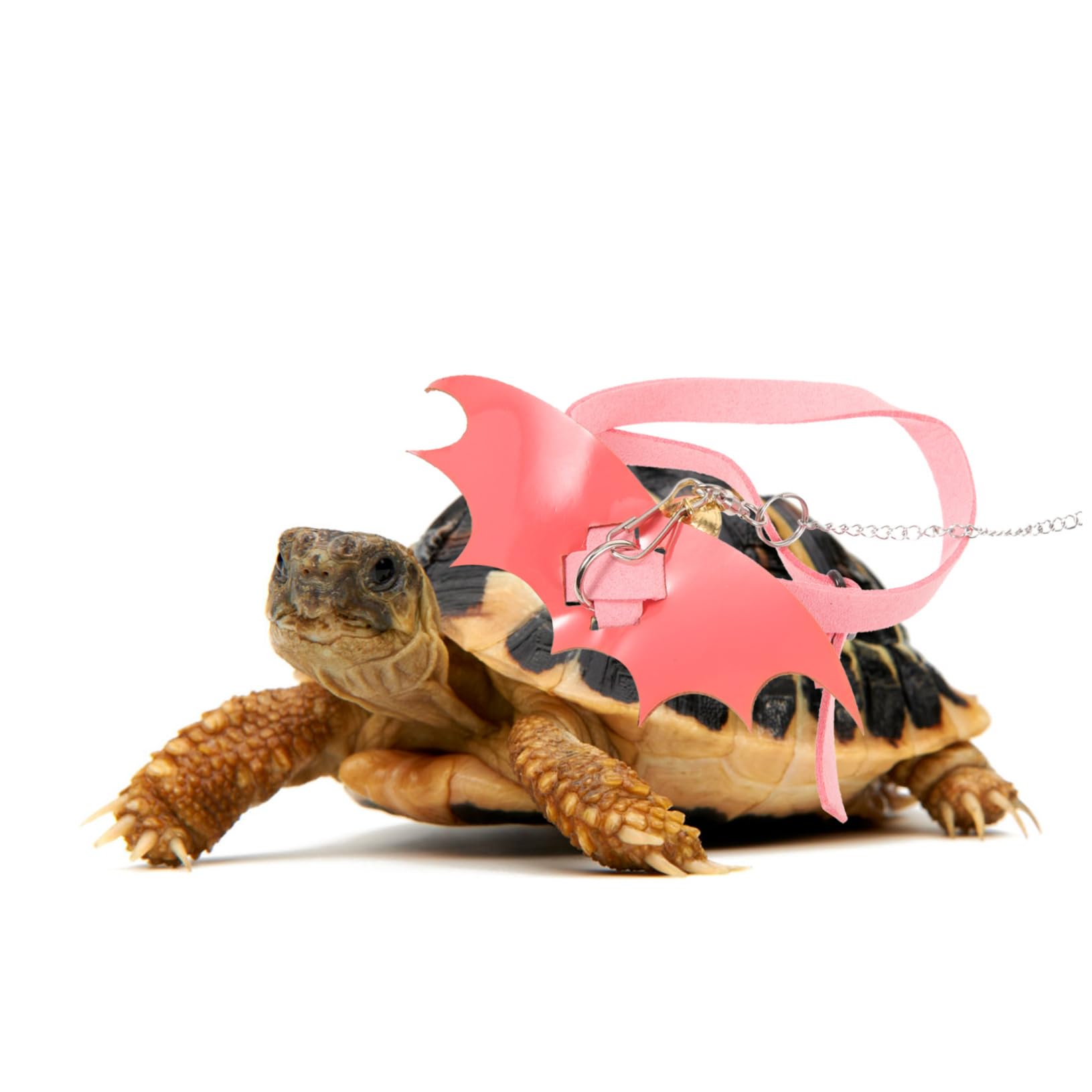 Bryant/Carrier LA22LA036 WHEEL (SQUIREL CAGE)