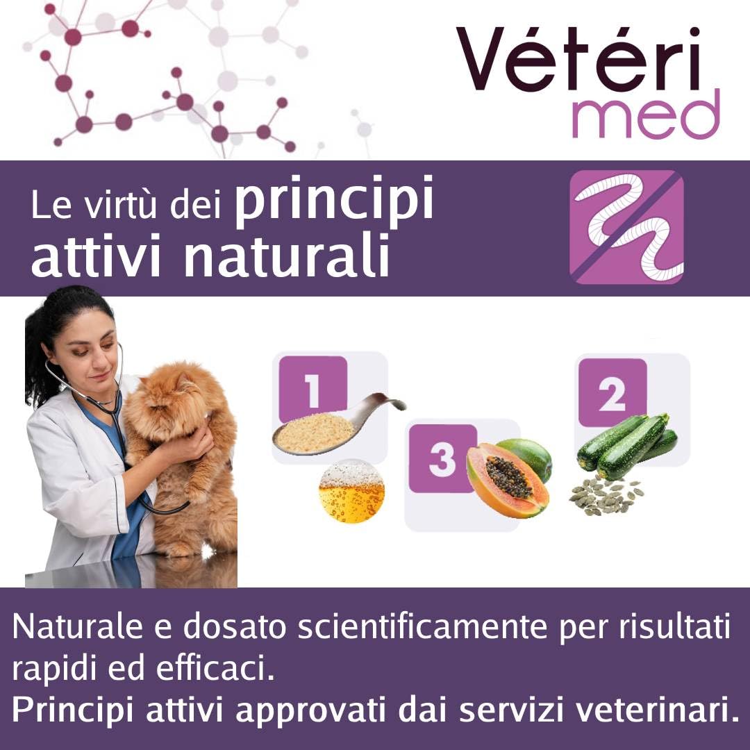 Vermifuge Chats Antiparasitaire Interne - Poudre Vermifuge pour Chats - Hygiène Intestinale Fabriqué en France (Chat, Poudre 30g) - Version Italienne