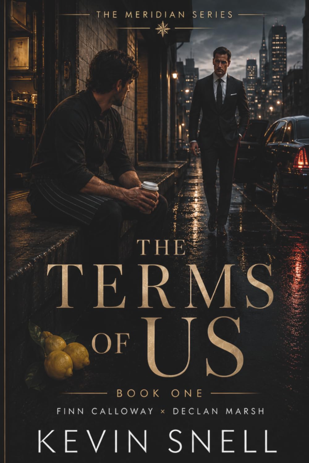 The Terms of Us: A Slow Burn, Fake Relationship, M/M Billionaire Romance (The Meridian Series)