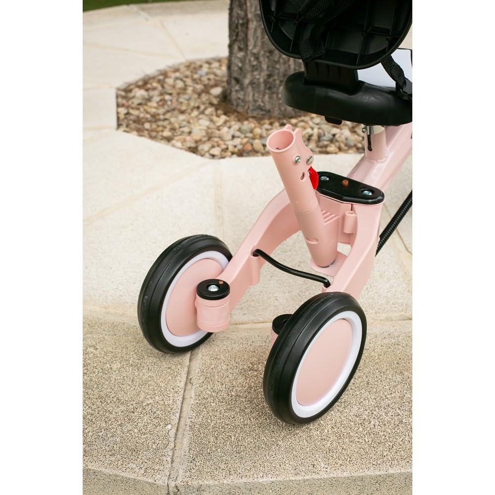 Interbaby - Triciclo "Norby" e Bici Evolutiva 5 in 1 con Capottina - 1-5 Anni