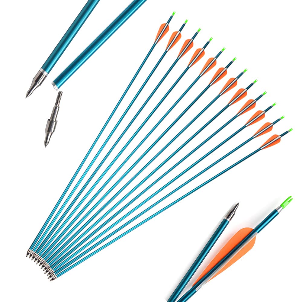 12pcs 31 Pulgadas Flechas de Aluminio Tiro con Arco Flechas de Arco de Caza de Práctica de Puntería Spine 500 con Punta de Flecha Enroscada para Arco Compuesto y Arco Recurvo