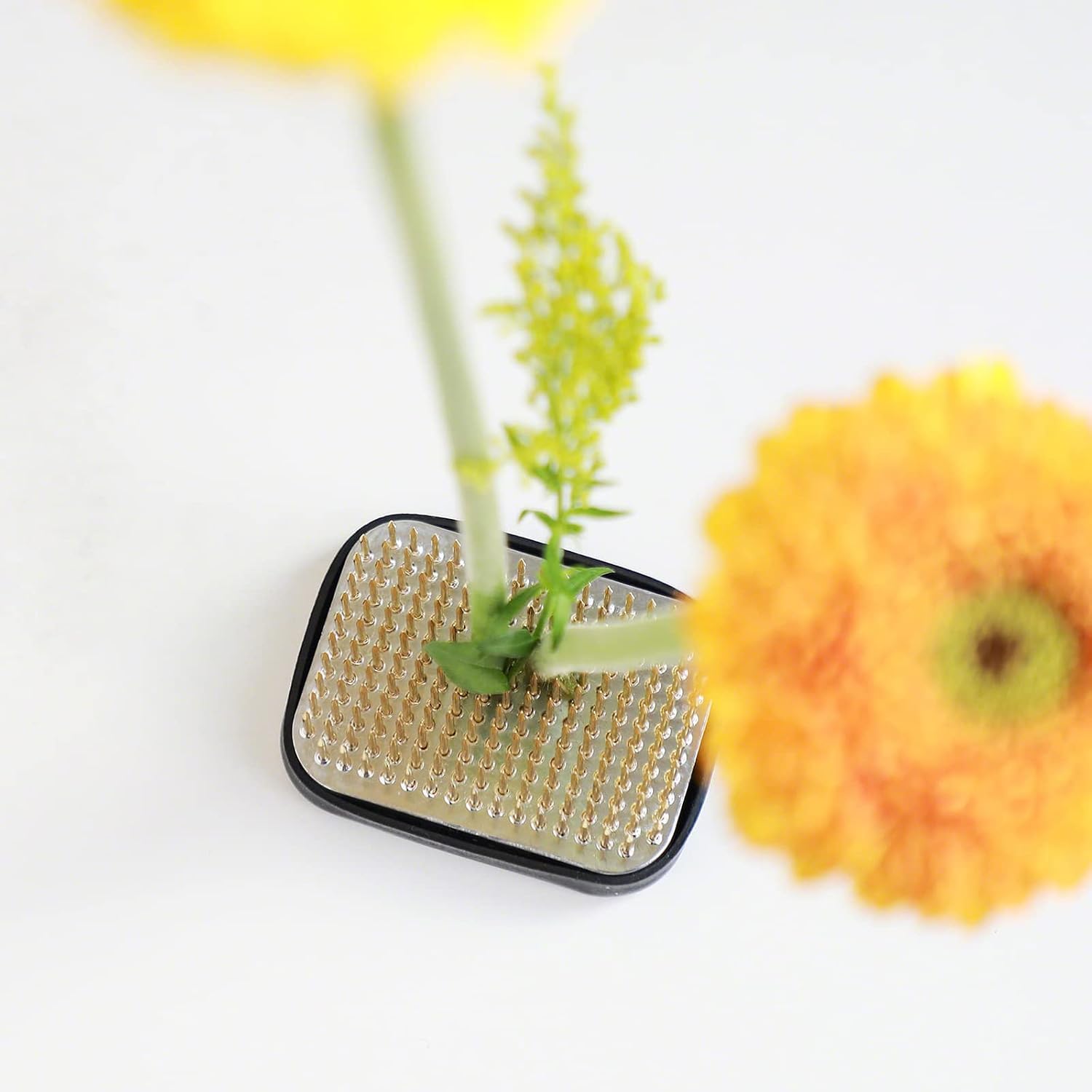 Wazakura Japanese Ikebana Kenzan Flower Holder Rectangular Square, Made in Japan Floral Arranging Pin Frog Tool - 2.6" (68mm)