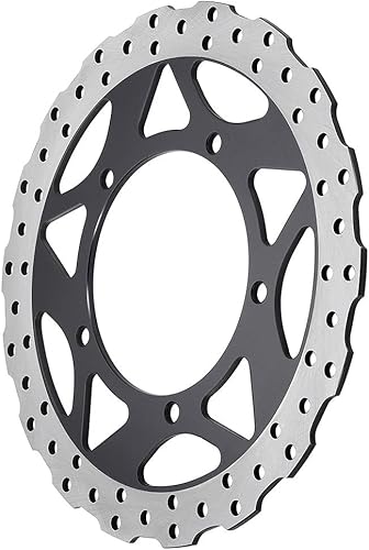 LANBAO Disco de freno delantero de una pieza para Kawasaki EX300 Ninja 300 ABS 2013-2017 Rotor de freno 2013 2014 2015 2016 2017