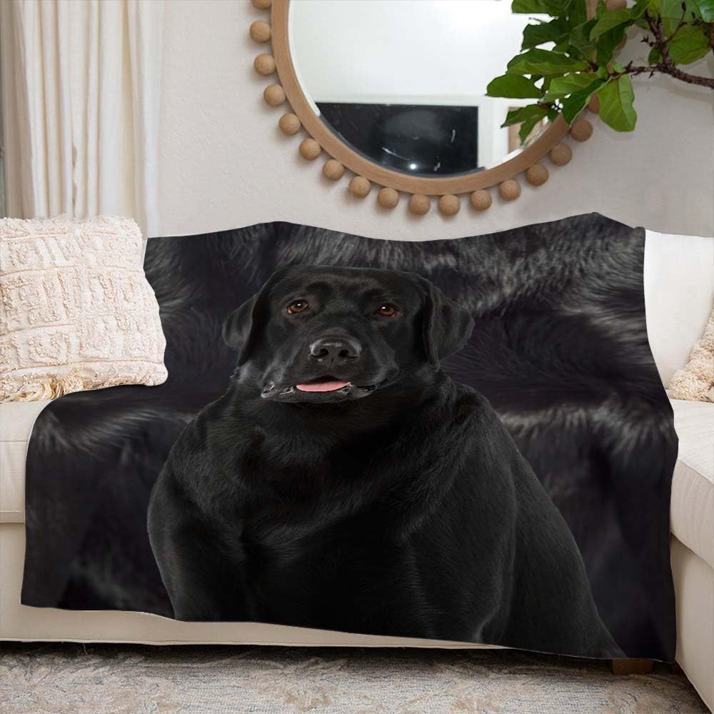 HappyHeartedGifts Custom Black Labrador Blanket Laradors