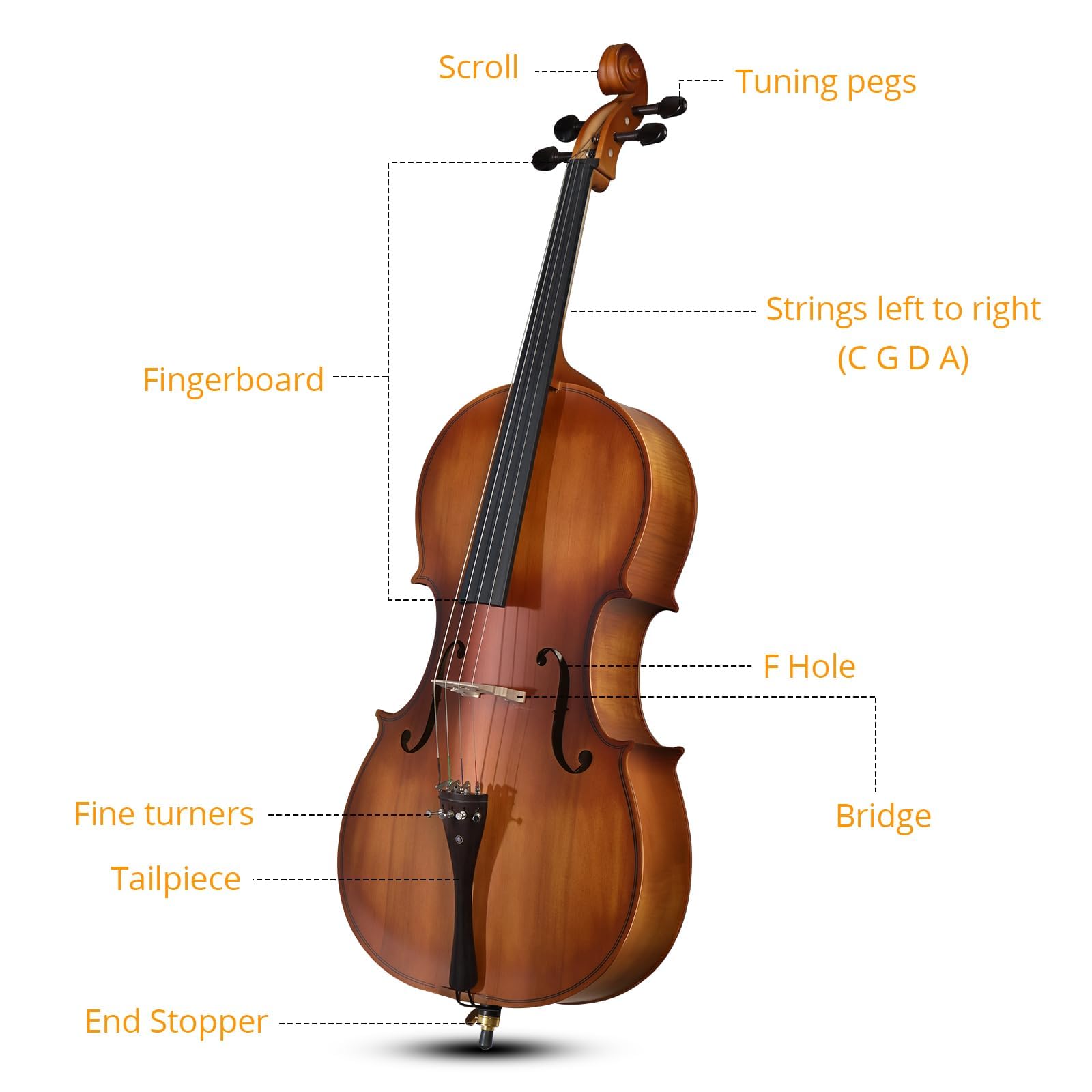 4/4 Acoustic Cello Kit for Adults, Beginners, Complete Full Size Cello Set with Portable Bag, Bow, Rosin, Matte Natural