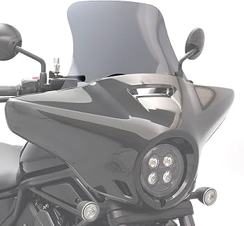 Amazon | エンデュランス ハイスクリーン (スモーク) レブル1100T DCT