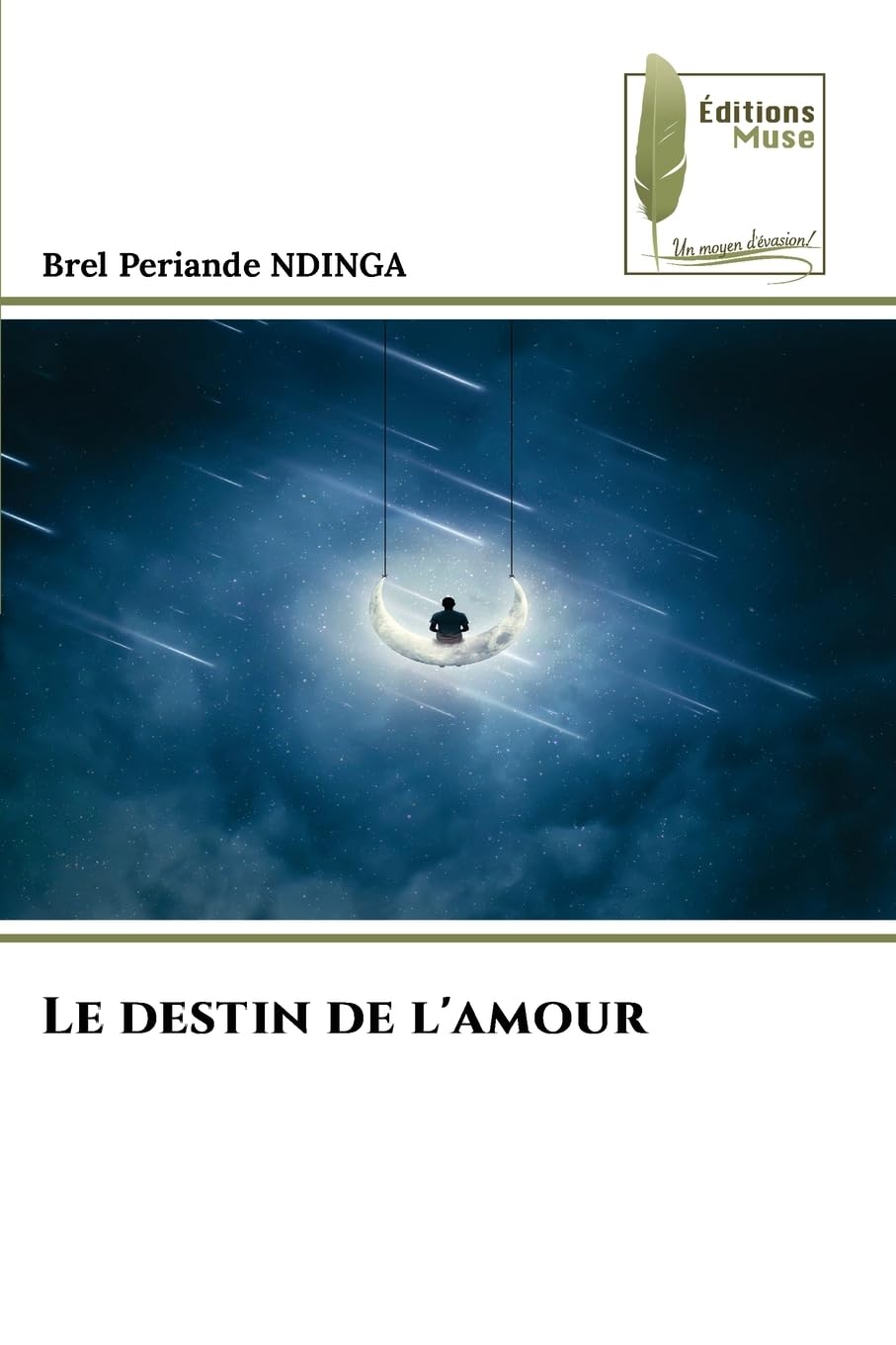 Le destin de l'amour roman sentimental grand format histoire de couple