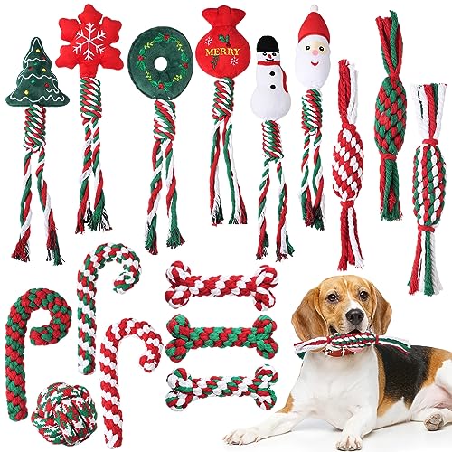 Glimin 30 NX}X  ނ q [v ̌` LfBP[ lߍ킹 X^C  j  UIȊސlp    i ybg 