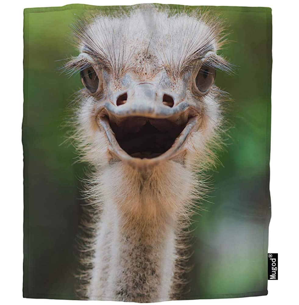 QDAS Throw Ostrich Closeup Flightless Curious Soft Fuzzy Flannel for Dog All Bed Car H