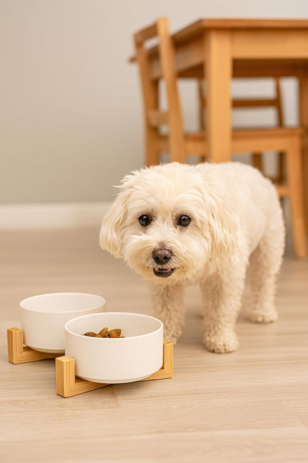 Elevated Ceramic Pet Bowls – Double 13.5oz Raised Cat Dog Bowls with Bamboo Stand | Non-Toxic Ceramic Food Water Dishes | Modern Spill-Resistant Feeder for Small Dogs & Cats