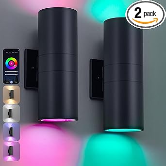 Nigaut Smart Outdoor Wall Lights, 30W Exterior/Interior Lighting Fixture Compatible with Alexa, IP65 Waterproof Up and Down Lights Outdoor for Porch Garden, 2.4 GHz Wi-Fi & App Control