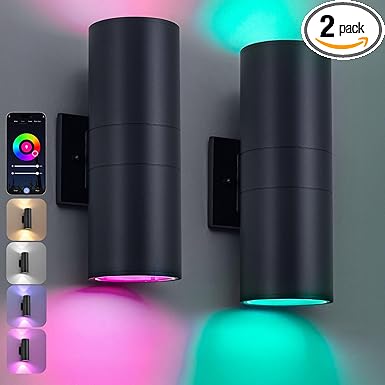 Nigaut Smart Outdoor Wall Lights, 30W Exterior/Interior Lighting Fixture Compatible with Alexa, IP65 Waterproof Up and Down Lights Outdoor for Porch Garden, 2.4 GHz Wi-Fi & App Control