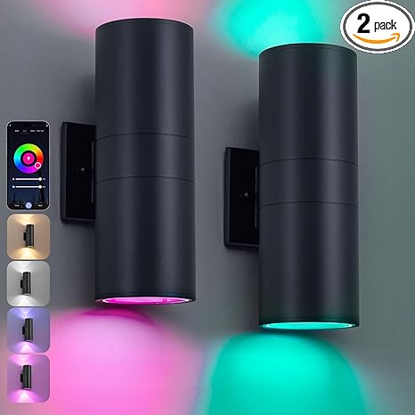 Nigaut Smart Outdoor Wall Lights, 30W Exterior/Interior Lighting Fixture Compatible with Alexa, IP65 Waterproof Up and Down Lights Outdoor for Porch Garden, 2.4 GHz Wi-Fi & App Control