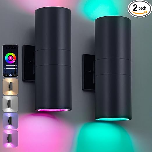 Nigaut Smart Outdoor Wall Lights, 30W Exterior/Interior Lighting Fixture Compatible with Alexa, IP65 Waterproof Up and Down Lights Outdoor for Porch Garden, 2.4 GHz Wi-Fi & App Control