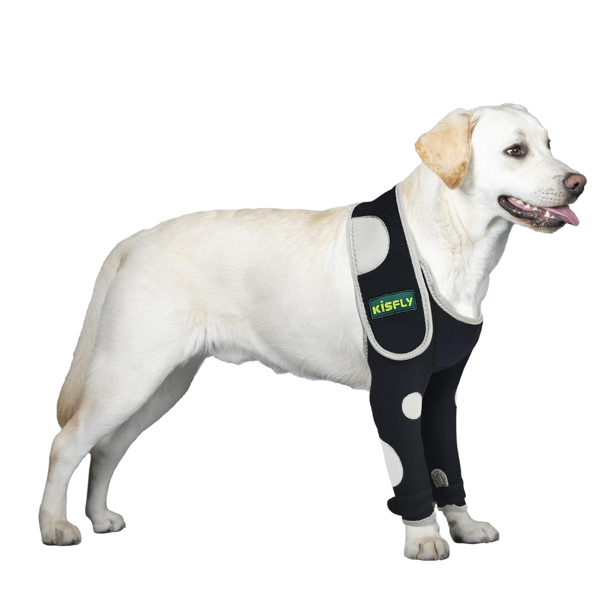 Click for your next fashion find