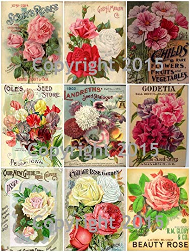 Victorian Vintage Seed Pack Flowers Collage Sheet # 101