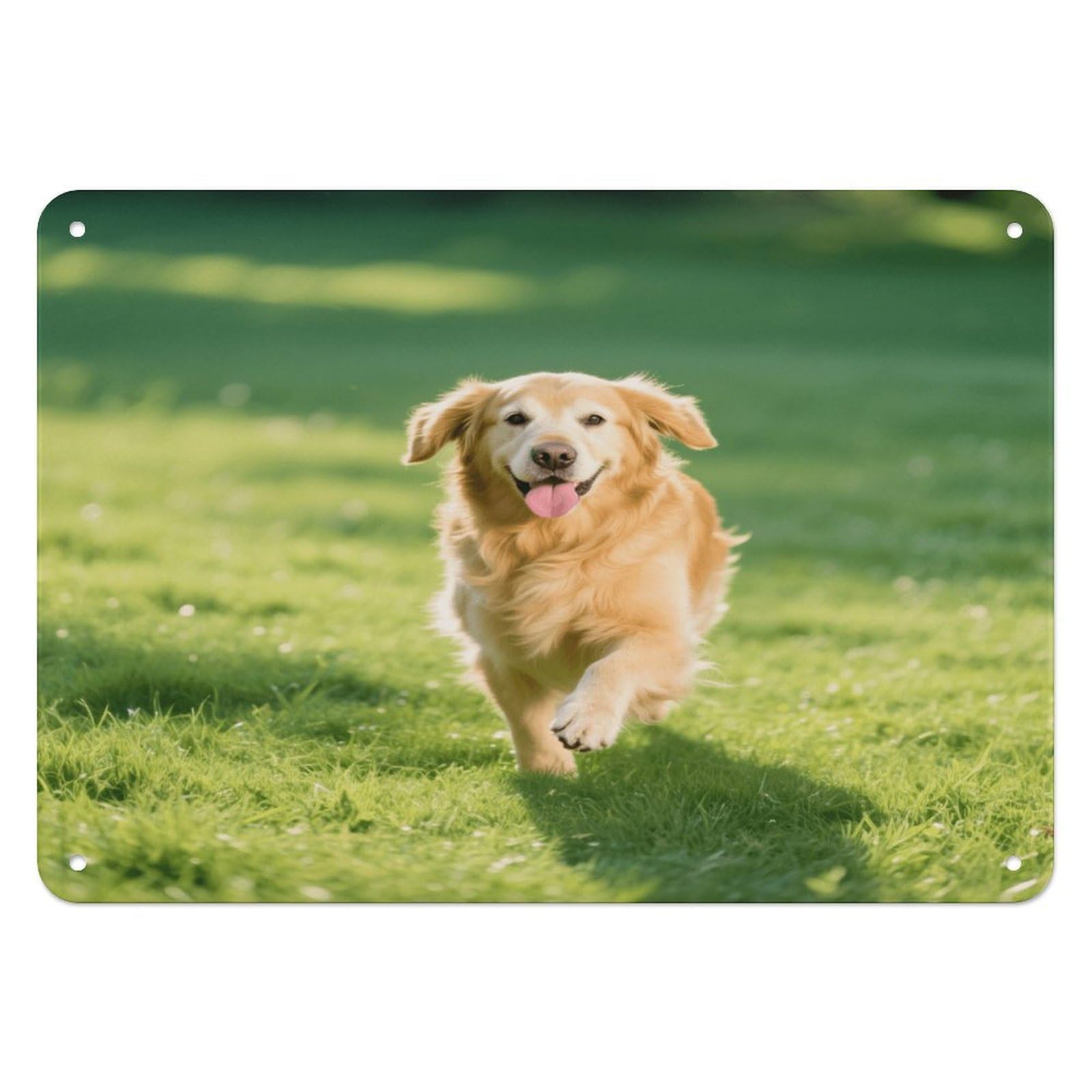 Fekiloot Style Golden Retriever Wall Decor Iron Painting Metal Sign