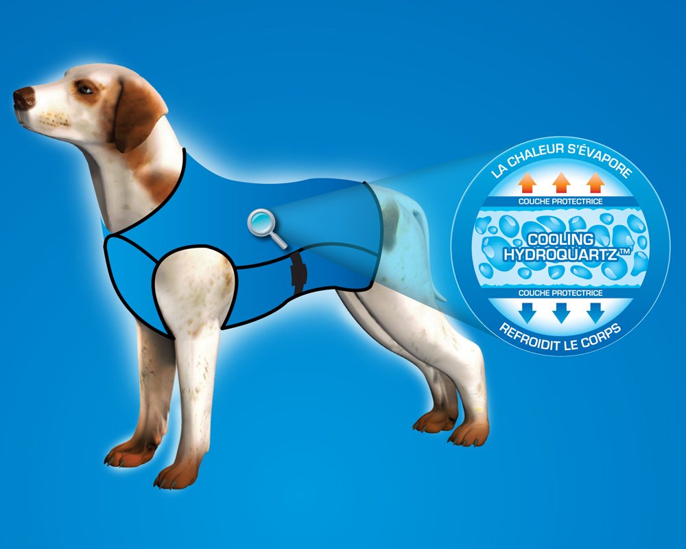 50AQPEJAPB05 Manteau Rafraîchissant pour Chien