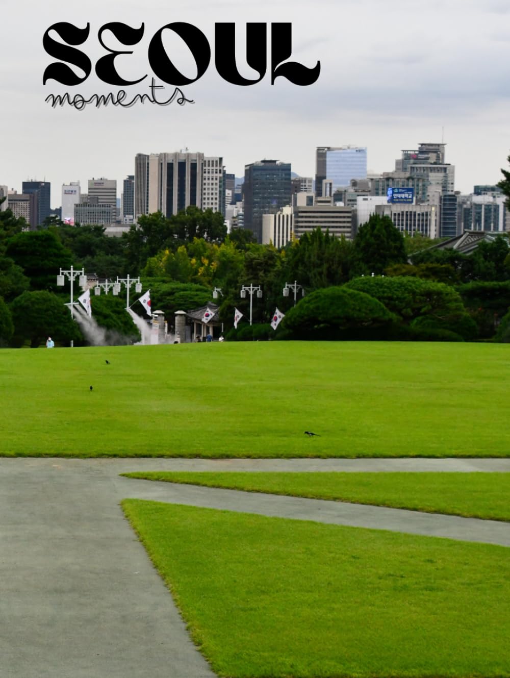 Livre Séoul Moments pour réussir vos photos de paysage urbain complexe