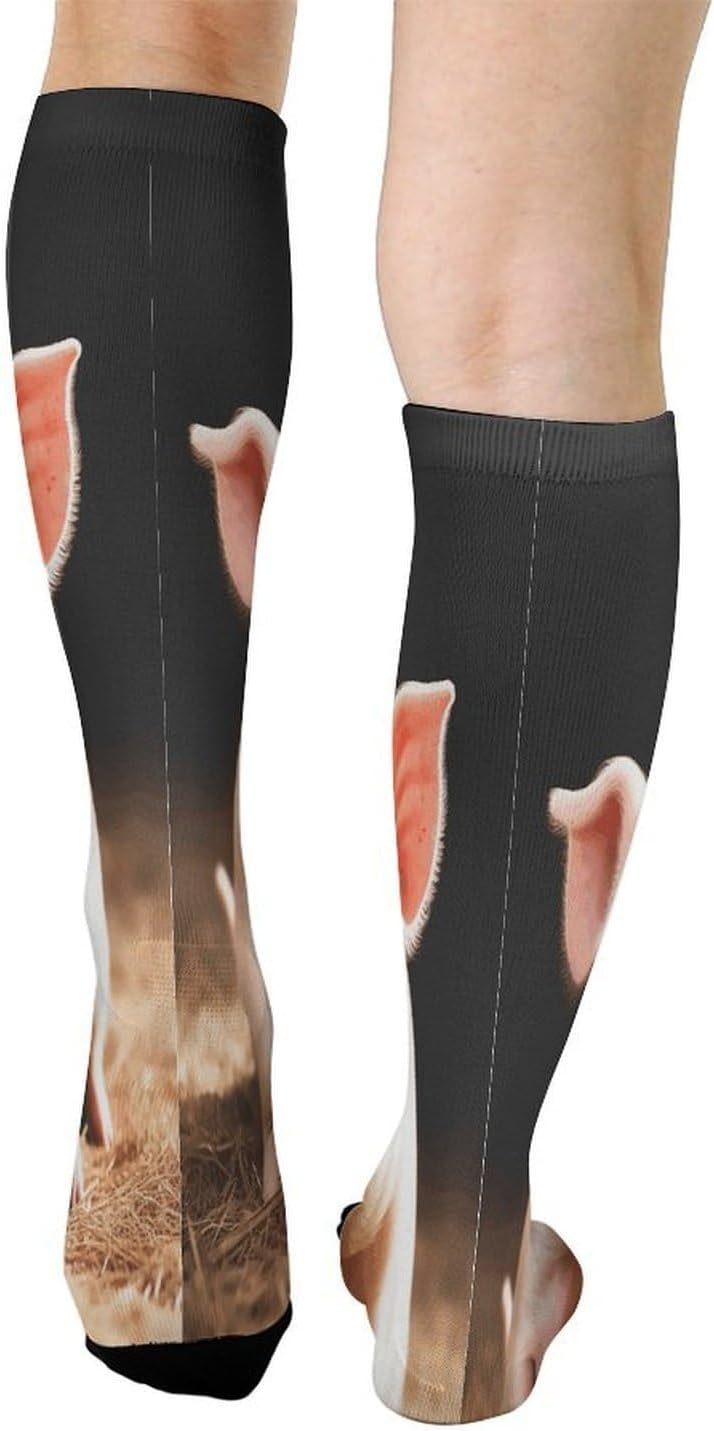 Cute Pigs Compression Sock Breathable Support Socks Lightweight Knee High Tube Socks for Women Men
