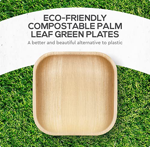Palm Leaf Plates Bamboo Plates Disposable 6 Inch 100 Pack Bulk Eco-Friendly Biodegradable Compostable Plates Best Alternative To Wooden Plastic Paper Plates By Koalalove #TOP4