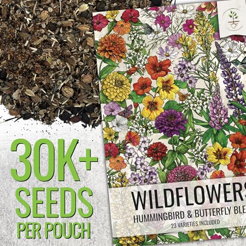 image for Seed Needs Wildflower Seeds Butterfly and Hummingbird Seed Mix 2 Ounce
