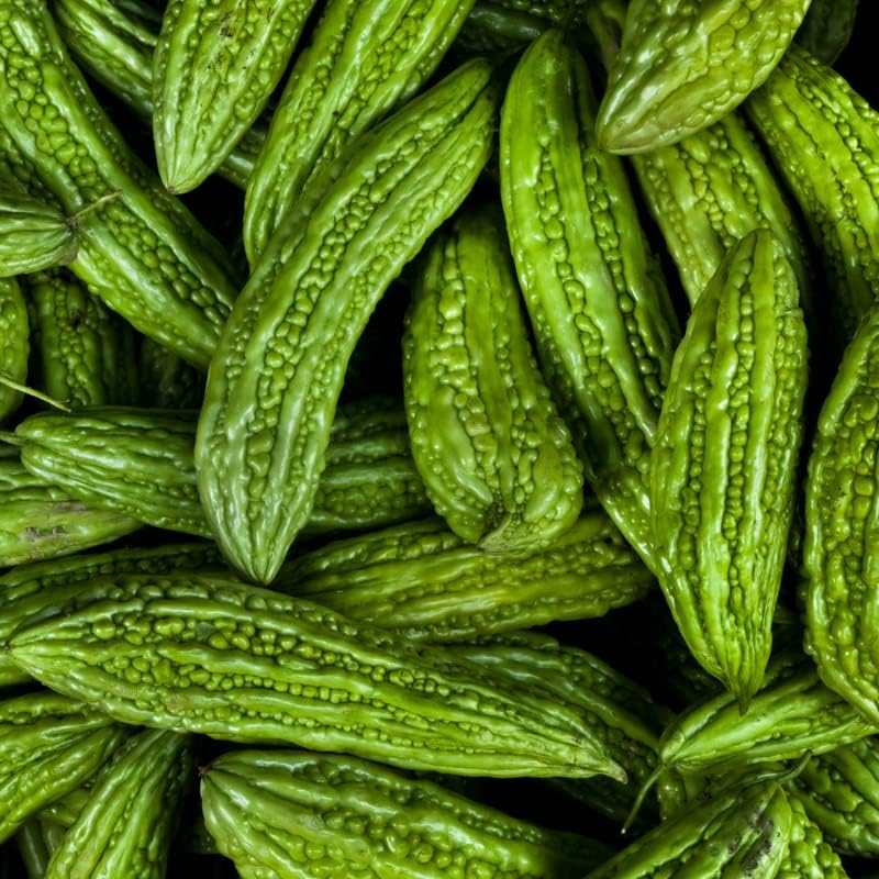 Vietnam Semillas de calabaza amarga semillas de melón amargo más de 10 semillas para plantar