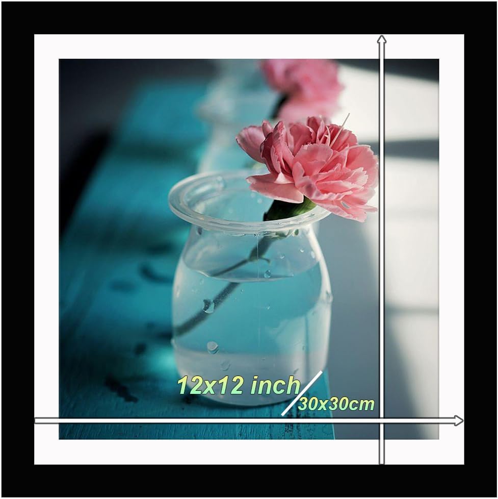 Betionol Diamond Painting Frames 2 Pack, Display 12x12in/30x30cm Diamond Painting Pictures or Photos, White Natural Solid Wood Picture Frame with Acrylic Protection Glass, Back Mat And Hanging Kit