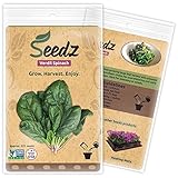 Organic Spinach Seeds, Appr. 225, Verdil Spinach, Heirloom Vegetable Seeds, Certified Organic, Non GMO, Non Hybrid, USA