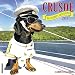 Crusoe the Celebrity Dachshund 2018 Calendar
