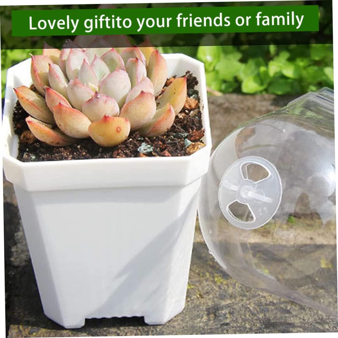 Havamoasa Nursery Pot Plant Nursery Pots with Humidity Dome Plant Planting Pot Plastic Gardening Pot Seed Starting Pot Plant Container Reusable Flower Pot for Seedlings Succulents : Patio, Lawn & Garden