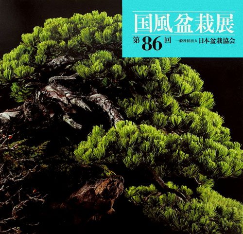 Amazon.co.jp: 第86回 国風盆栽展 : 社団法人日本盆栽協会: 本
