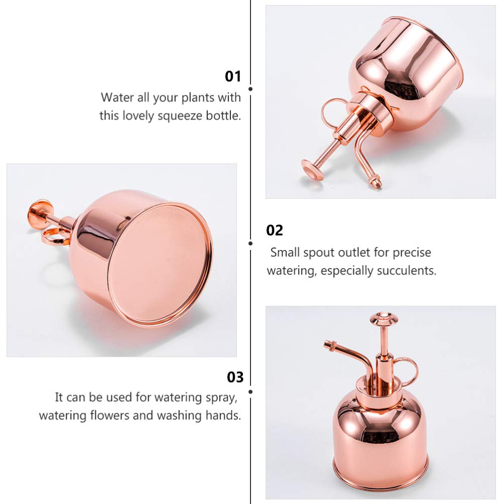 Spritzer per piante da interno da giardino annaffiatoio succulento pompa spruzza