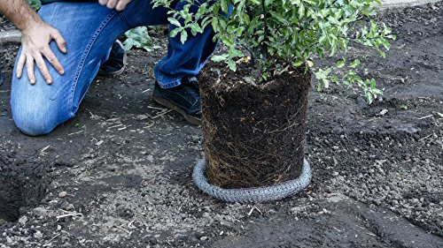 Digger's Root Guard Speed Baskets líquido 2 gal 2 pzas miniatura 3