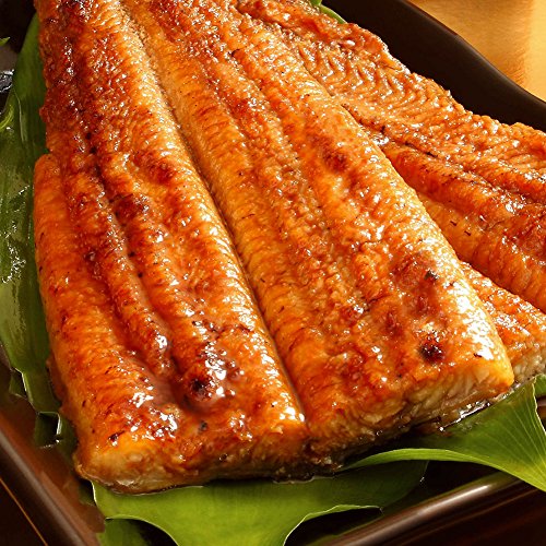 魚耕 四万十 うなぎ蒲焼 国産 詰め合わせセット