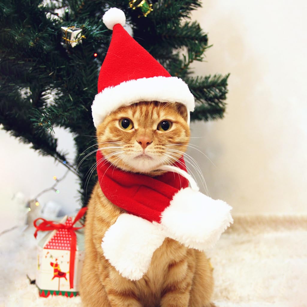See full amazon price history chart for Qpets® Christmas Costume for Cat Red Christmas Hat & Scarf for Cat Christmas Dressing Accessory for Cat Puppy, M Qpets® Christmas Costume for Cat Red Christmas Hat & Scarf for Cat Christmas Dressing Accessory for Cat Puppy, M (B0CH4FF5BT) Amazon Price History, Amazon Price Tracker