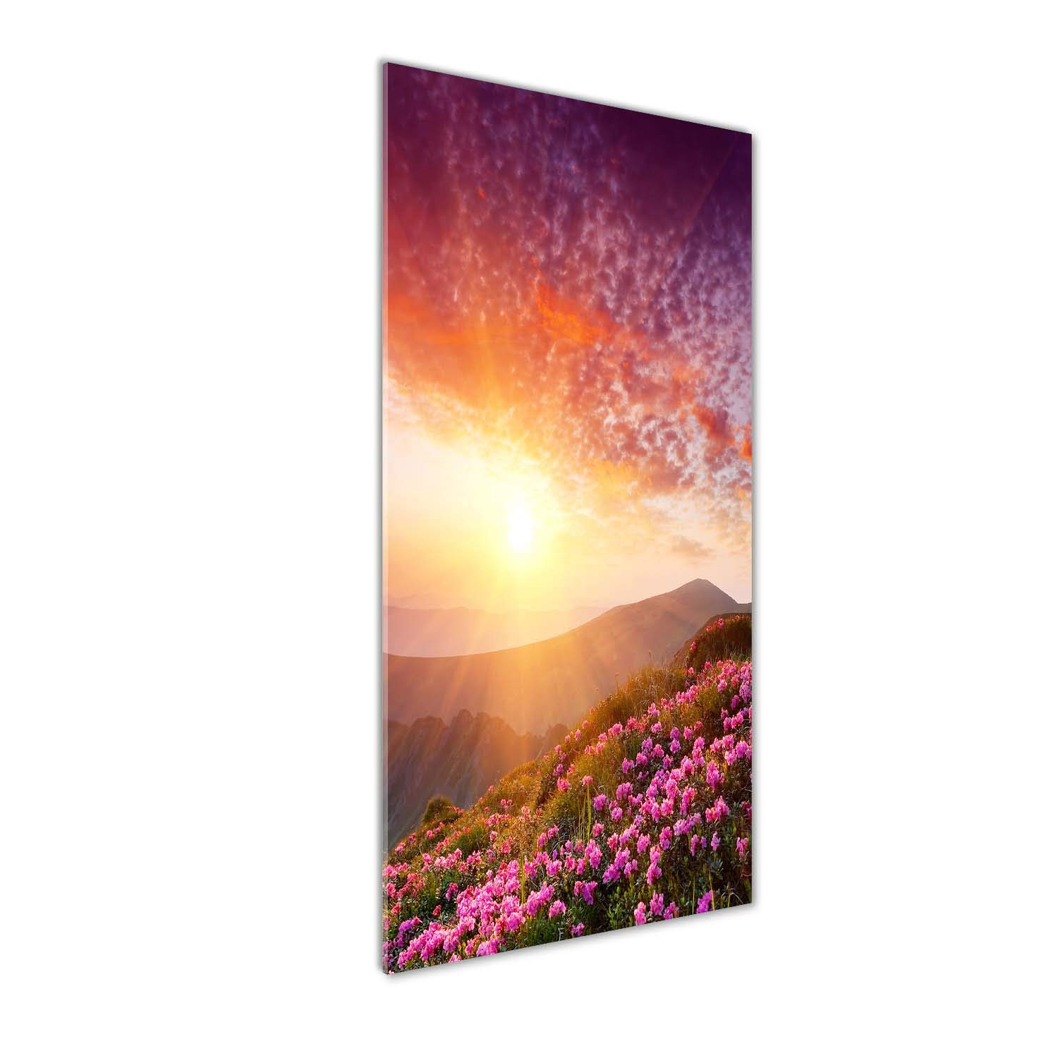 Tableaux pour la mur paysage de montagne violet sur plexiglas Tulup 50x125