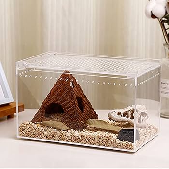 Amazon | 爬虫類 飼育ケース 飼育容器 ケージ 透明 アクリル製