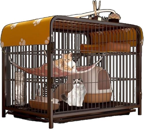 KryZaro 2 iLbgP[W zCg/ubN t \ LbgB NC~Ot[t Lbgxbh gݗĊȒP X^CbV^