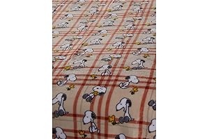 Peanuts Fall Plaid Blankets: Snuggle Up with Charlie Brown & Friends