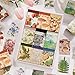 9 Sets 450 Sheets Washi Stickers for Journaling, Plants Fruit Flowers Butterfly Shell Boho Stickers Vintage Aesthetic Scrapbook Sticker for Bullet Journal Art Diary Card Craft Gifts Planner Notebook