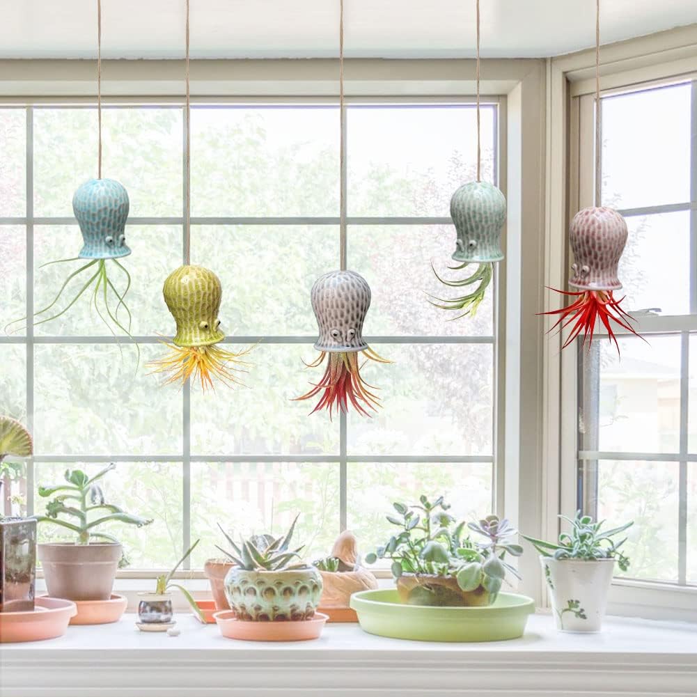 5 Pack Air Plant Holder Unique, Cute Octopus Air Plant Hanger Wall Planter, Ceramic Tillandsia Airplants Holders Hanging Wall Decor for Home Office (Small ( 2 x 3.2 in))