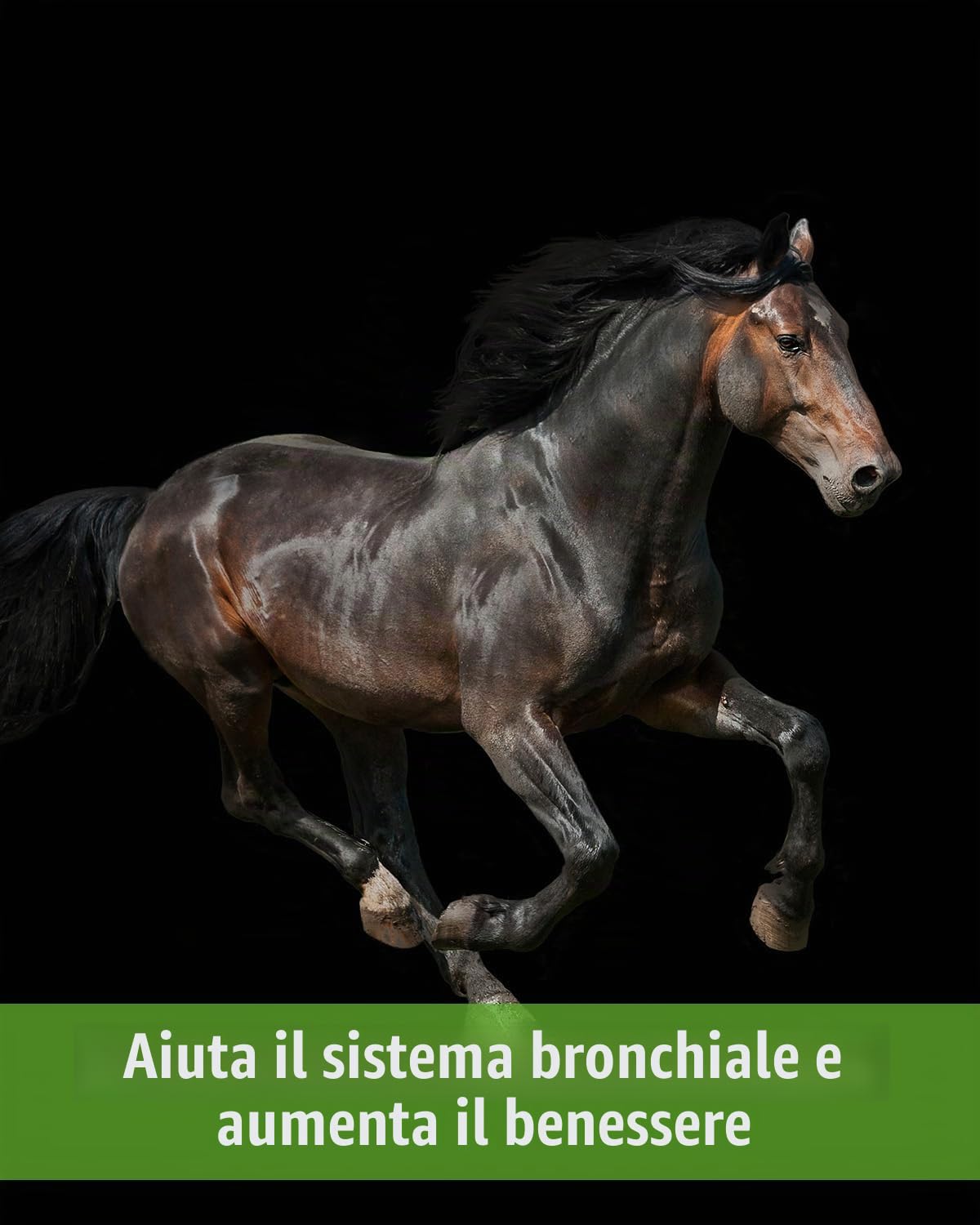 Secreta Pro Max 3605874167711 - 800 gr