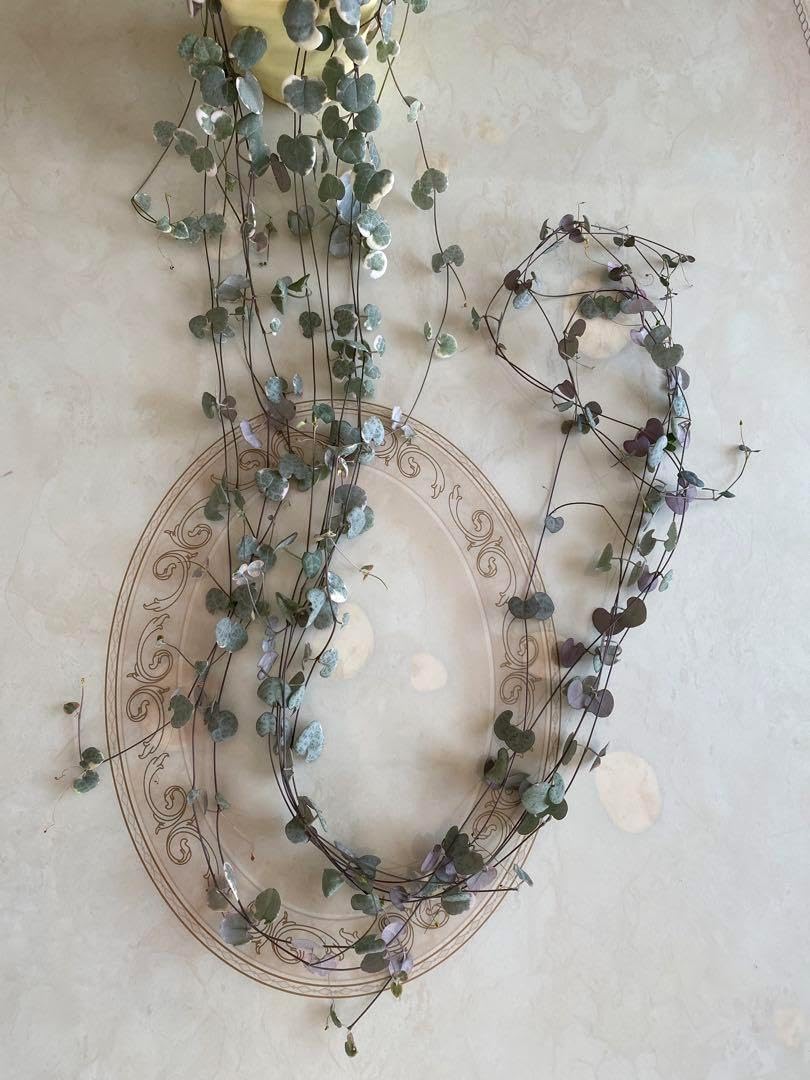 シェリー様検討用 シェリー様 シェリー様検討用 FSD全装備型。 My X(twitter) has