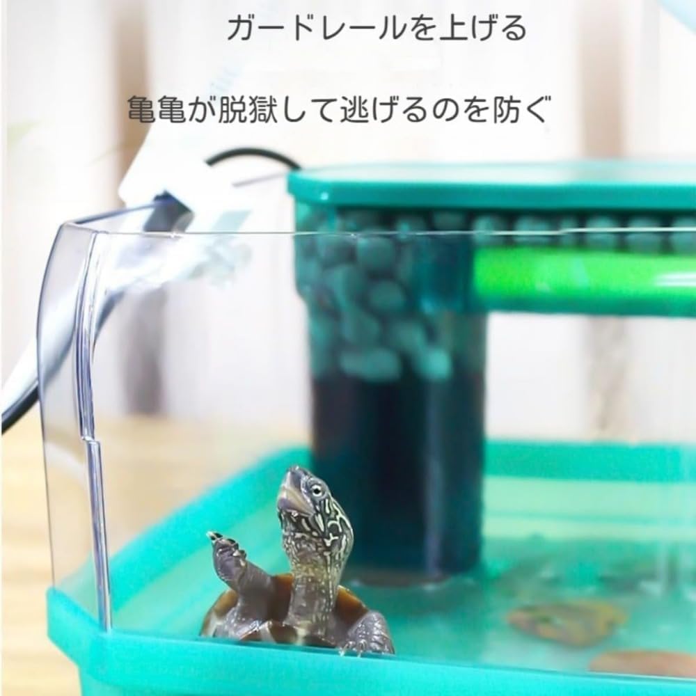 Amazon | GriMei 亀水槽 プラスチック カメ水槽 亀飼育ケース 亀爬虫類