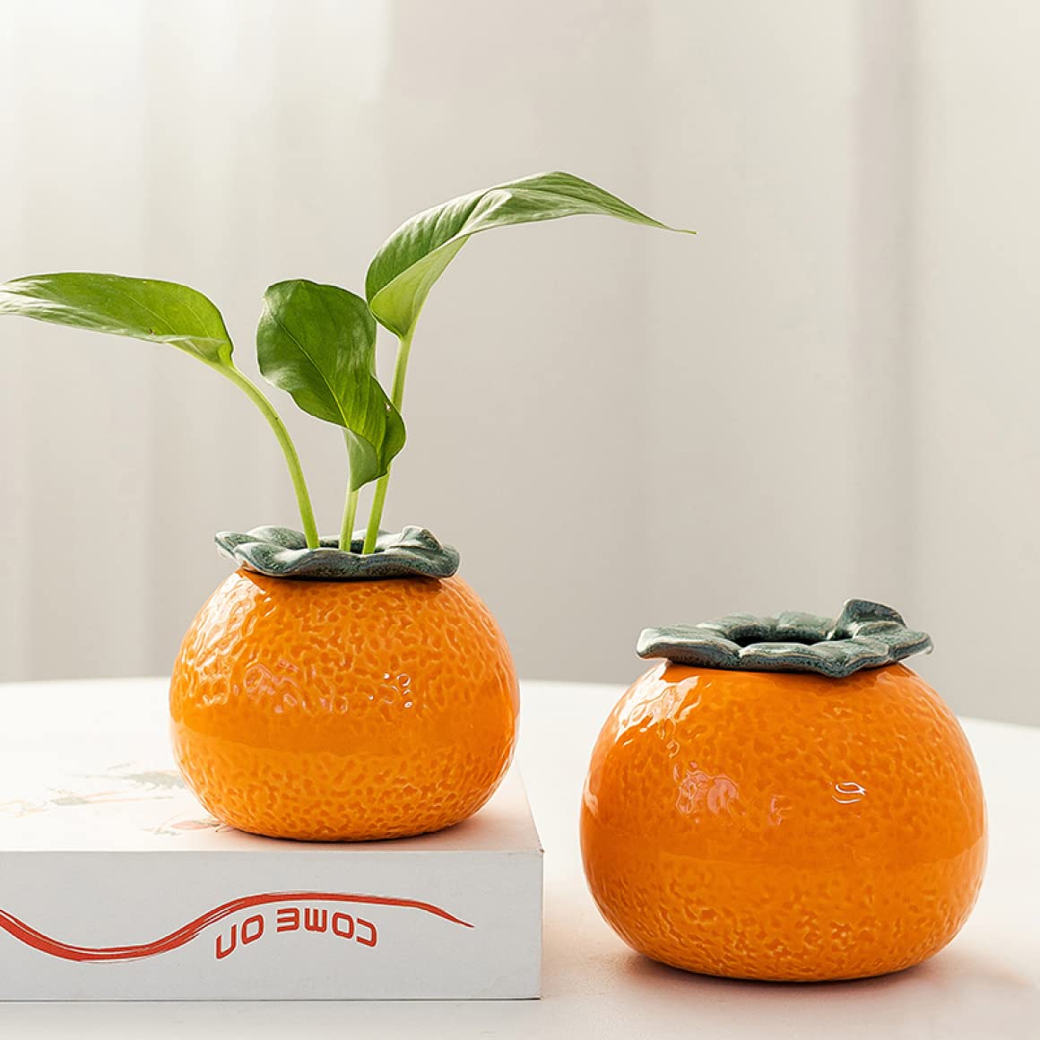 Amazon.co.jp: [ADSNS] 植木鉢 プランター ミニ鉢 多肉植物鉢 陶器