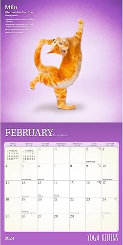 Miniatura 4 de Calendario de gato humorístico 2024  Regalos divertidos para los amantes de los gatos de lujo 2024 con más de 100 calcomanías de calendario (regalos